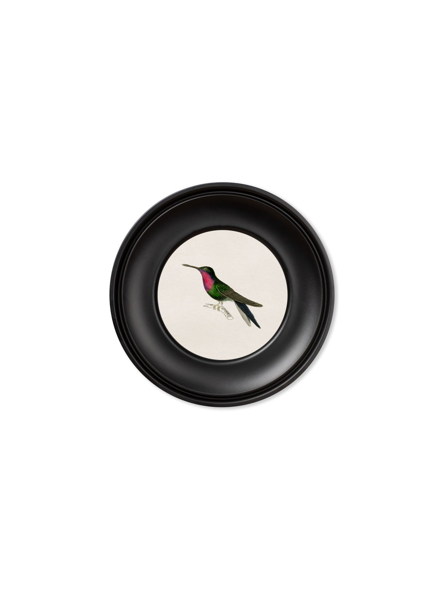 Collection of Hummingbirds in Small Round Frames