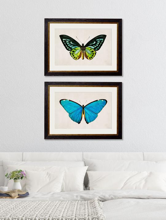 Framed Tropical Butterflies Prints (Set of Two)