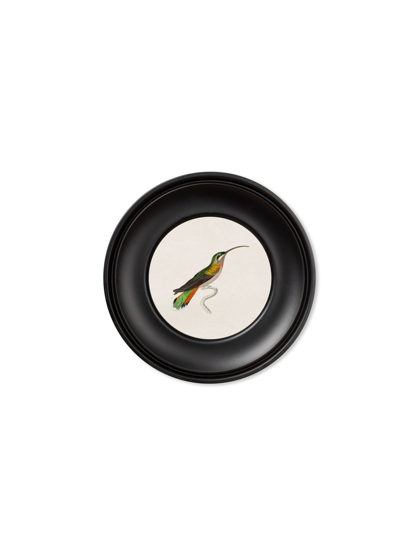 Collection of Hummingbirds in Small Round Frames