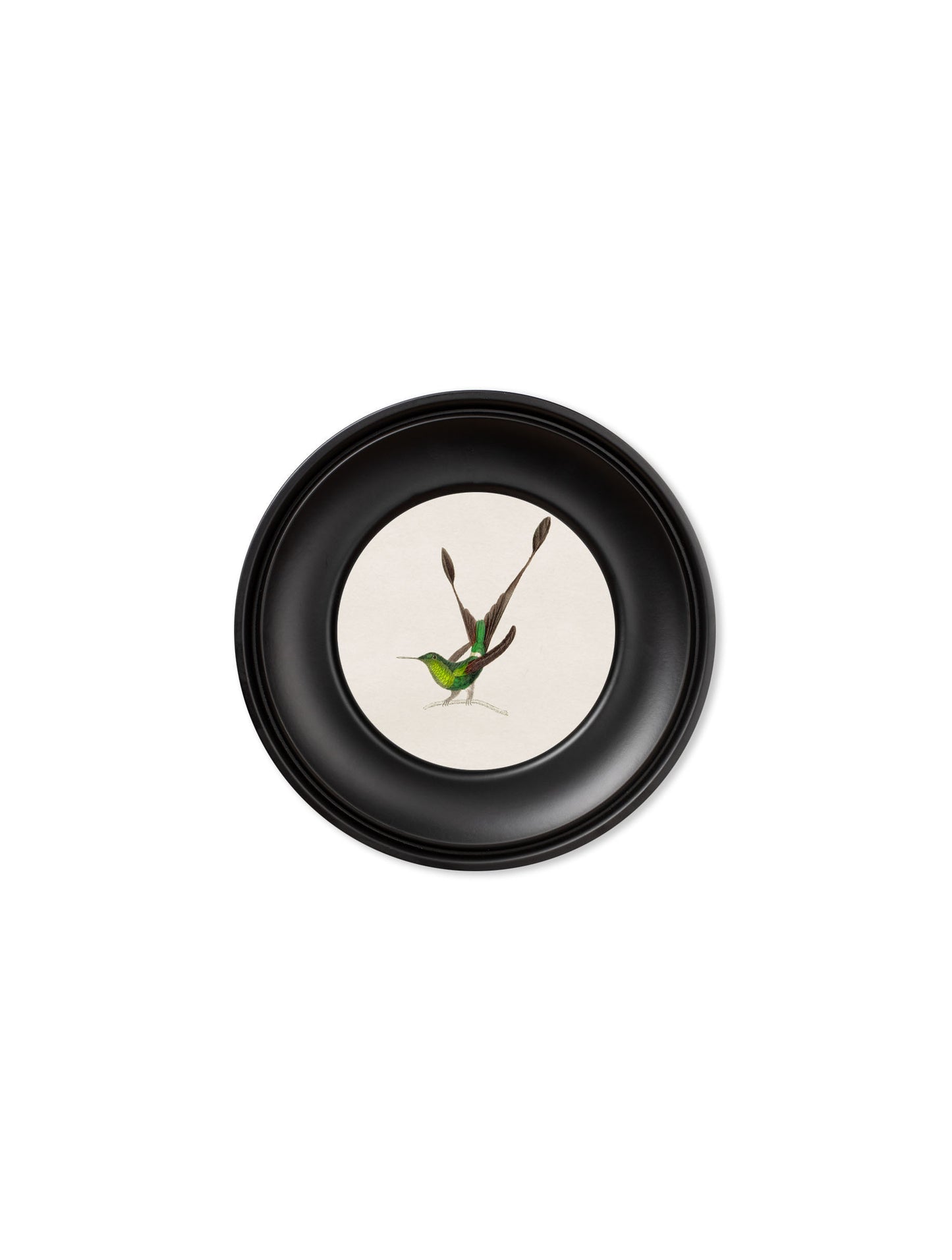 Collection of Hummingbirds in Small Round Frames