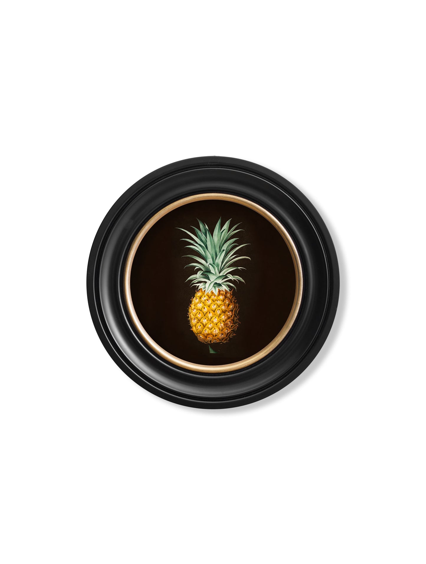 Round Framed Pineapple on Black Background Print