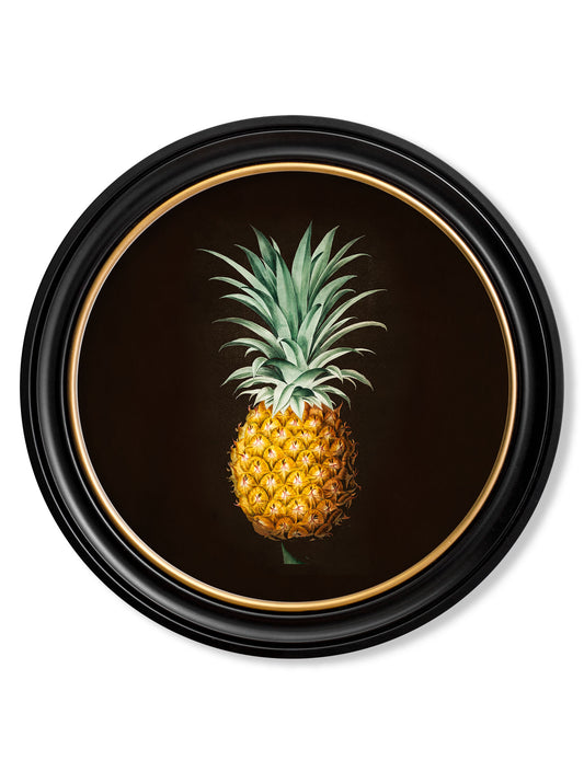 Round Framed Pineapple on Black Background Print