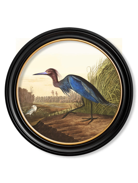 Round Framed Heron Print