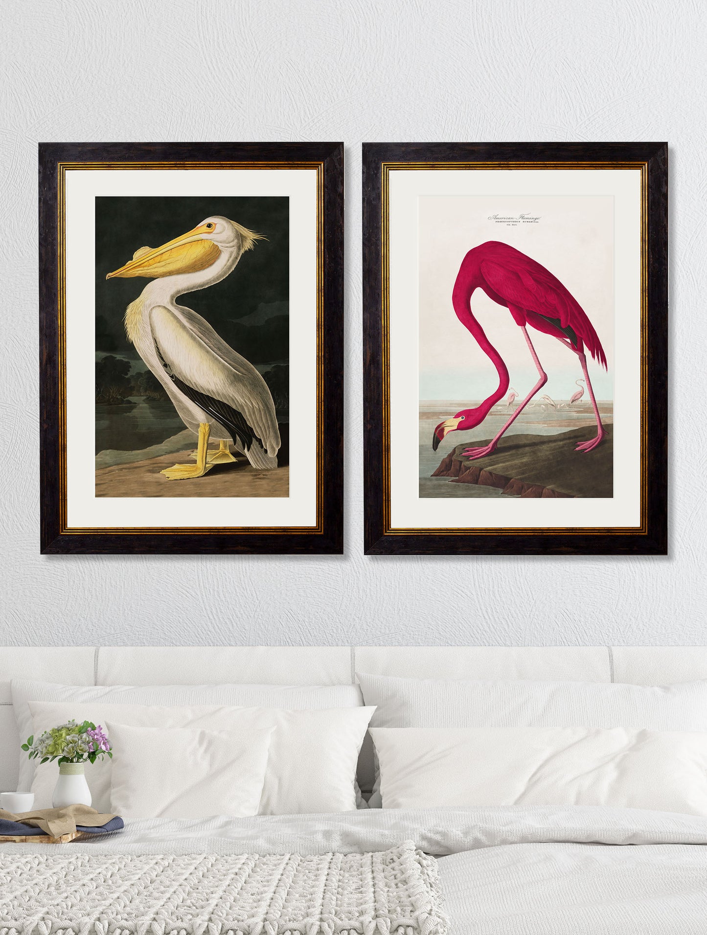 Framed American White Pelican Print