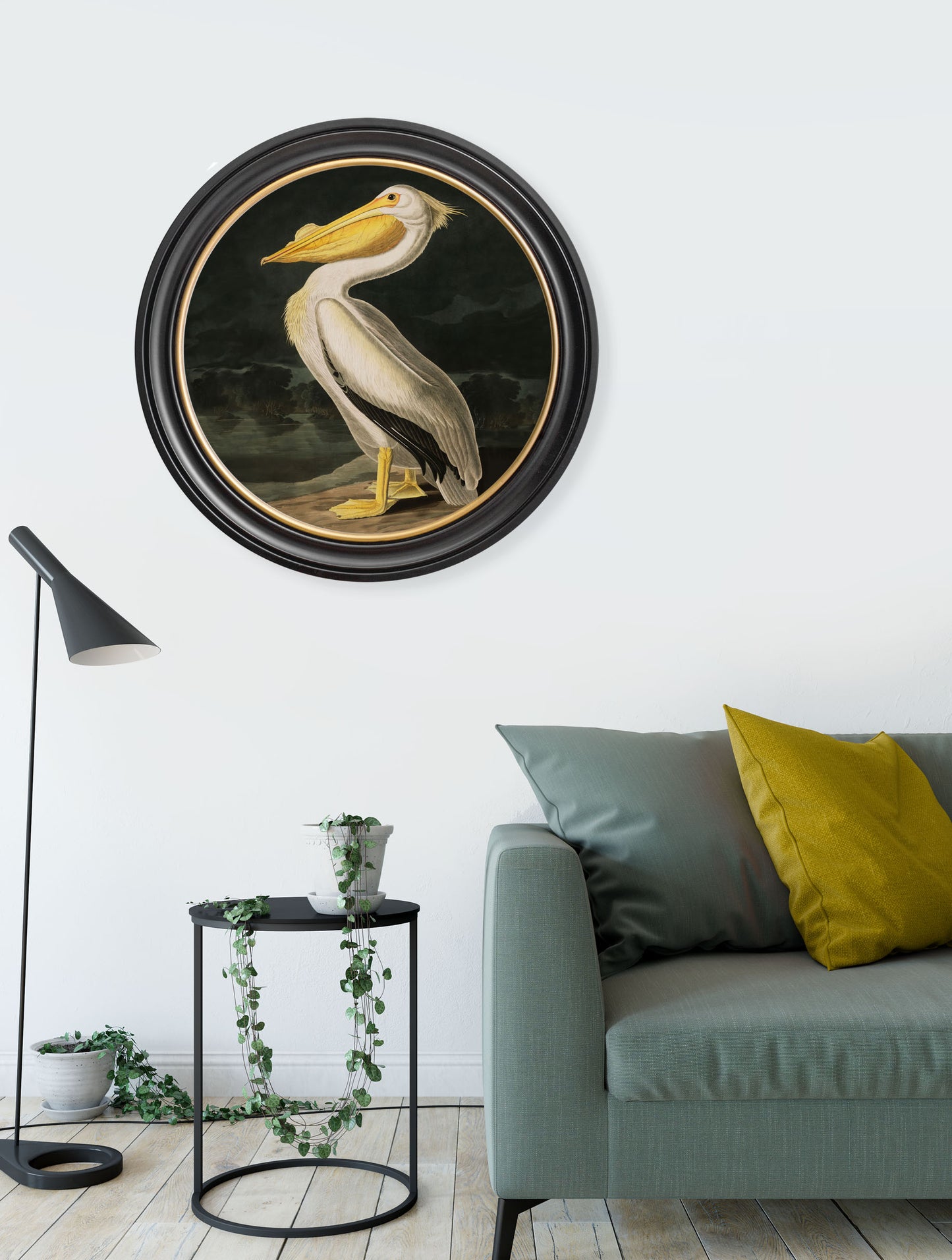 Round Framed American White Pelican Print