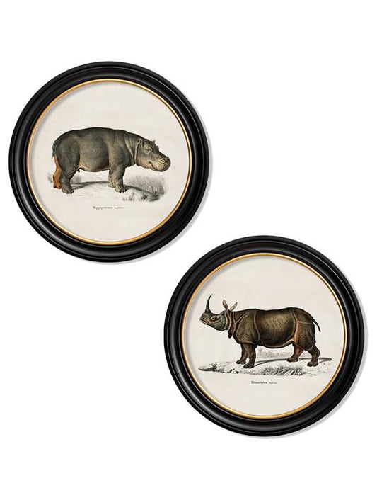Round Framed Rhino & Hippo Print