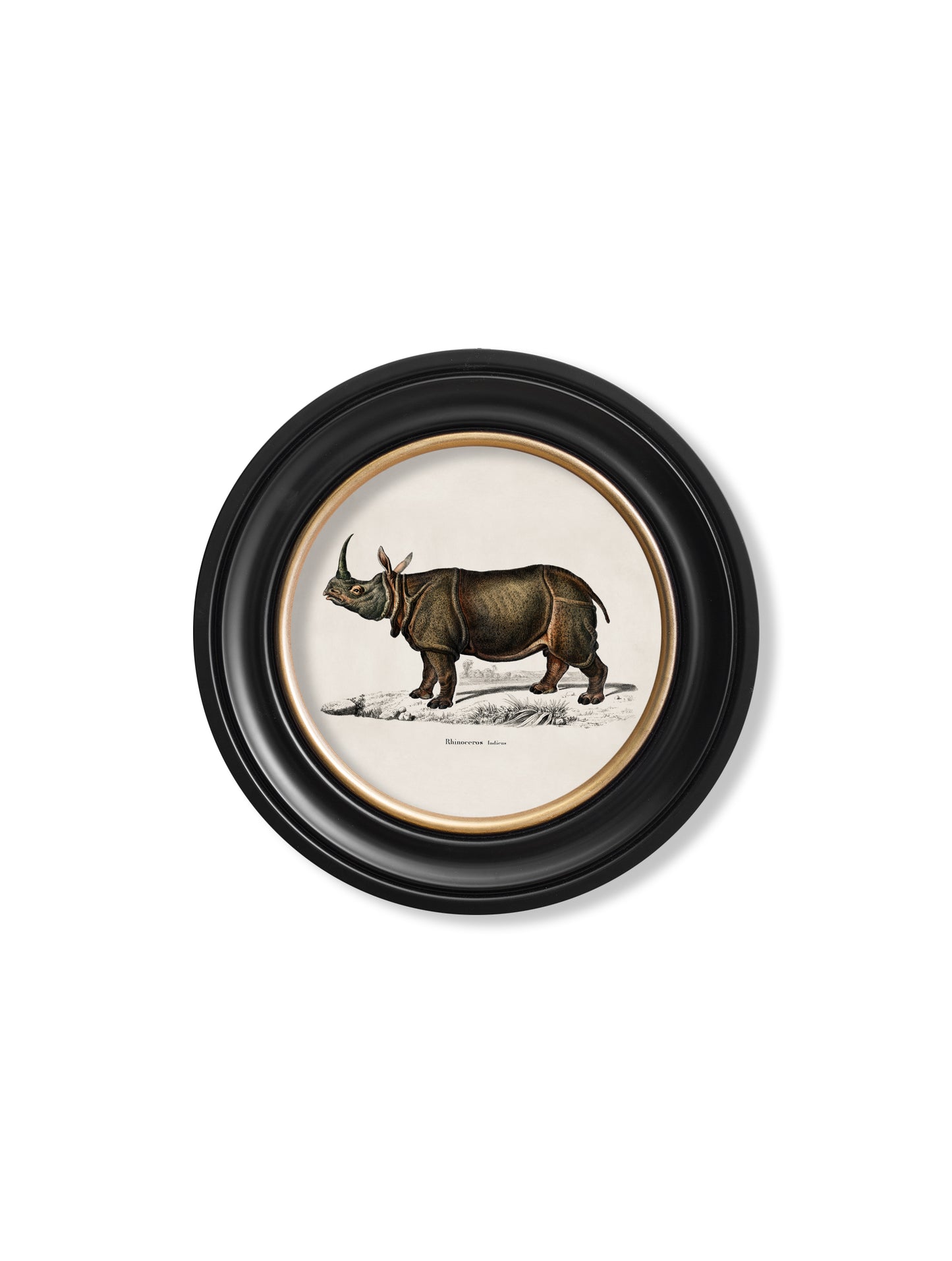 Round Framed Rhino & Hippo Print