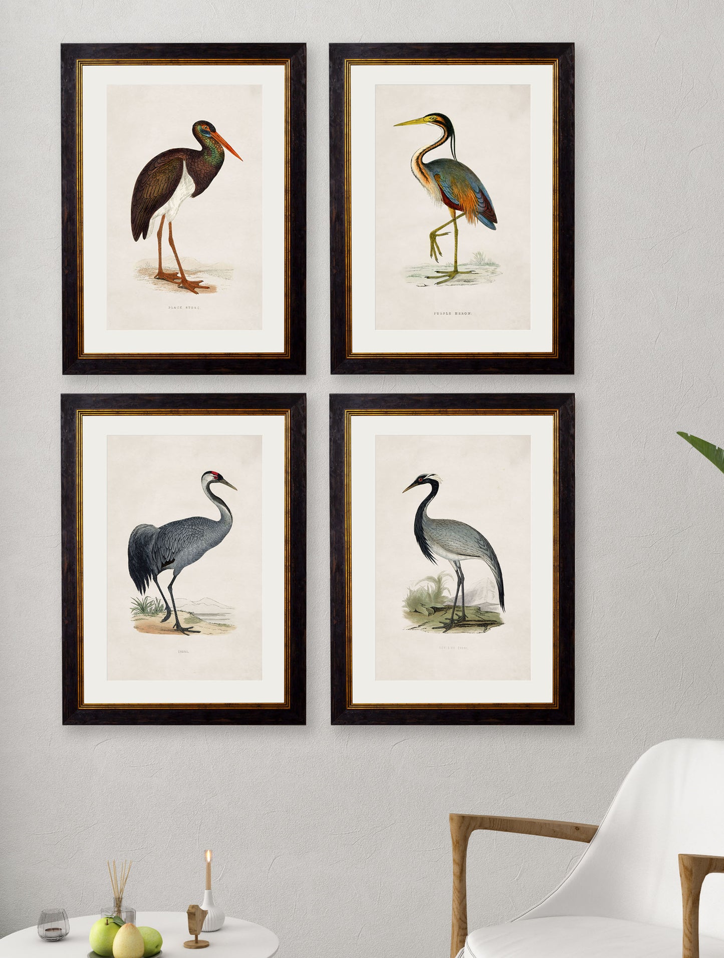 Framed Wading Birds Print