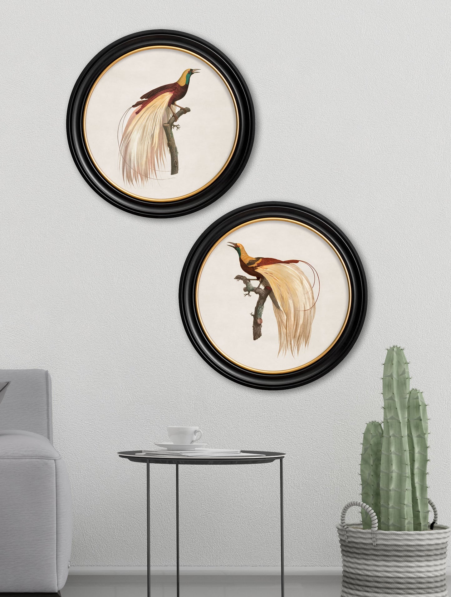 Round Framed Birds of Paradise Print