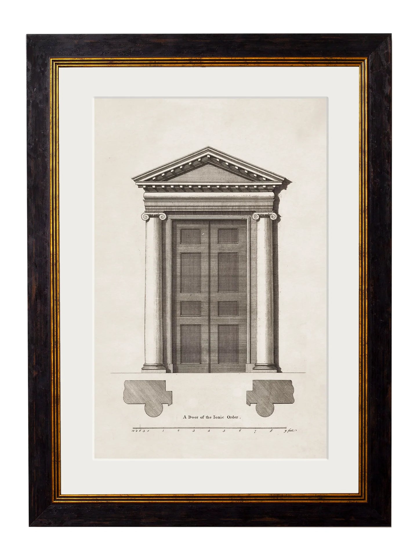 Framed Architectural Study of 18th Century Doors