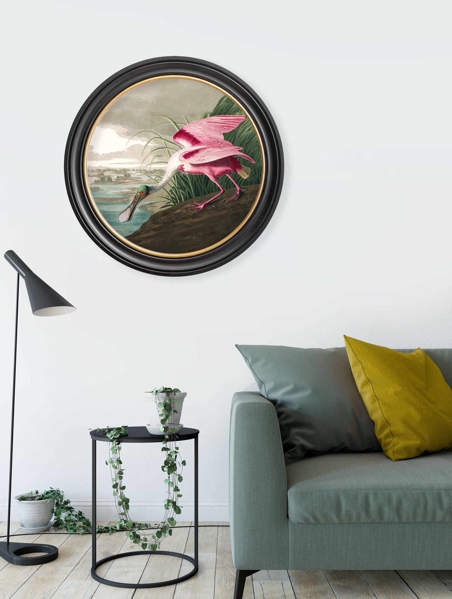 Round Framed Roseate Spoonbill Print