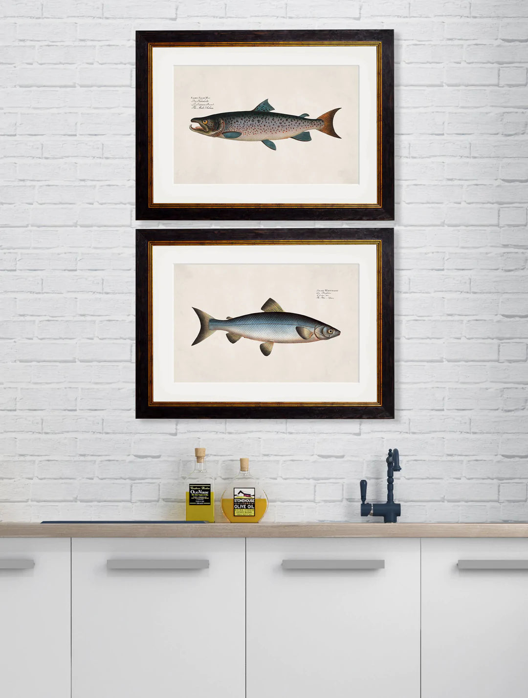 Framed Studies of Salmon